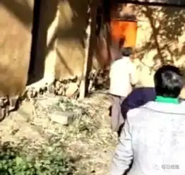 太惨了昭通永善一农舍起火,9岁男童被活活烧死有灭火器不会用