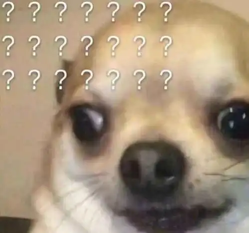 母猪图片表情包头像