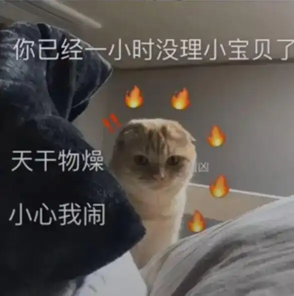 发给你男友的猫咪表情包