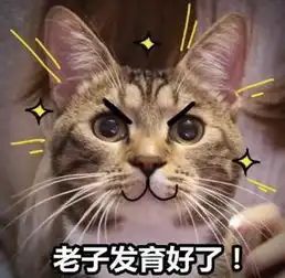 豆包包娘视频直播全集豆包包娘资料大全yy官方