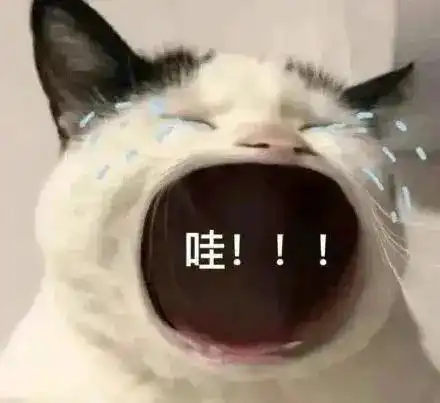 神仙搭配吴京代言中兴,这新机也太猛了吧