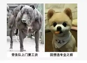 一大波专业专属表情包来袭
