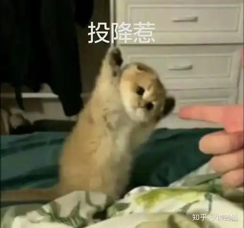 可爱表情包头像