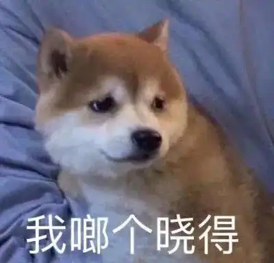 搞笑表情包图片不知道为什么,一到晚上就会精神百倍