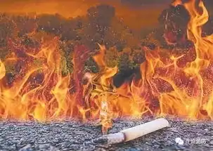 言论警惕十种烟头最会惹祸