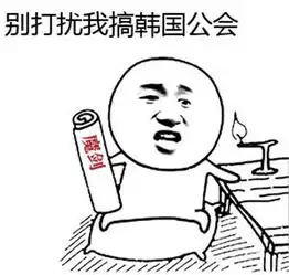 被生活所迫的表情包蠢货