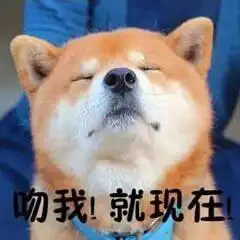 抱抱表情包嘘,别说话,吻我