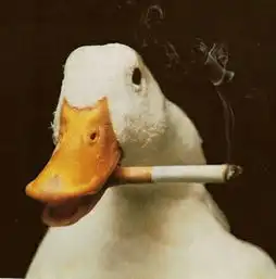 社会我大鹅,国产平头哥,那腱子肉,满满的江湖气下集知乎