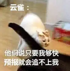 紧急蒙城人台风云雀已安排上了雷阵雨即将到来