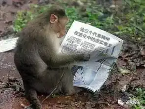 妹子的表情已经透露一切了......