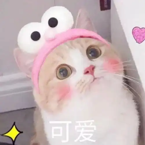 头像每次自拍都会发现自己颜值忽高忽低,一会帅一会更帅,好没意思的音乐