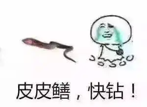 比黄鳝更刺激我就服美国人造的这条蛇精