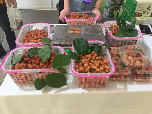 余杭好货邀你淘,临平艺尚小镇国际秀场这场嘉年华线上线下都可以逛
