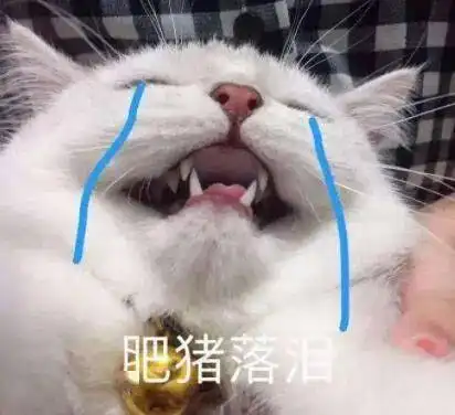 也太优秀了吧