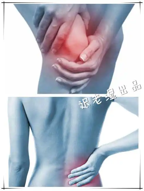 表情好奇害死猫收藏夹表情