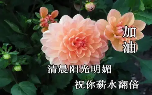 7月31日周六清晨早上好问候祝福动态表情图片早晨问候祝福动态表情图片