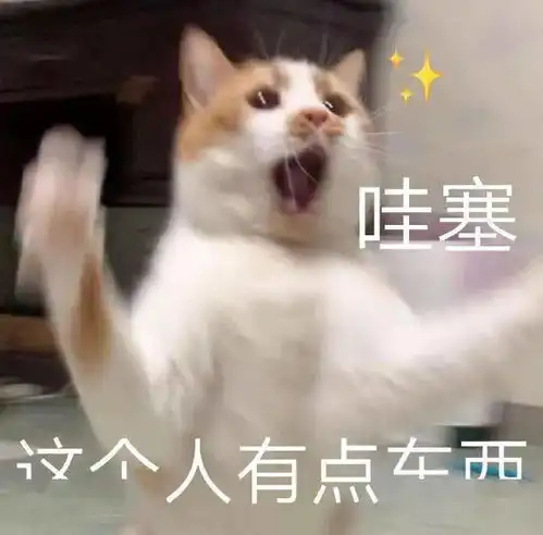 夺笋表情包头像