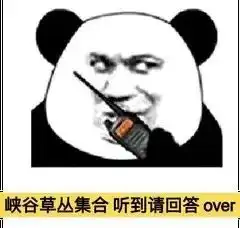 要出来打王者看我,多牛