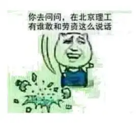 对方不想说话,只丢给你一个北理表情包