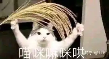 为什么玩儿王者荣耀的时候,当别的瑶妹挂在自己的男朋友身上时会特别不开心
