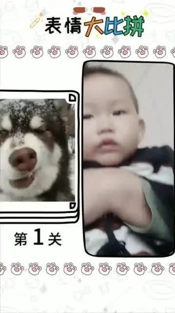 小爱萌萌哒gif表情包我