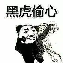风雨过后的体育馆里,竟来了一批武林高手...