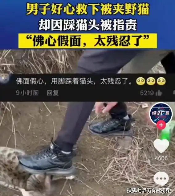 男子脚踩猫头被指责残忍,男子怒怼我愿意干这种残忍的事情