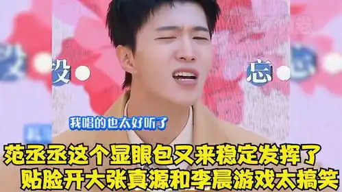 范丞丞稳定发挥显眼包,对张真源李晨贴脸开大,无时无刻不在显眼