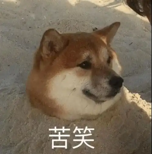重阳节送礼指南,保证不被爸妈骂