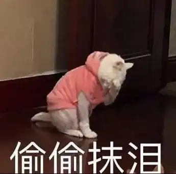 马云达沃斯煮鸡汤,刘强东撒狗粮科技乱谈琴