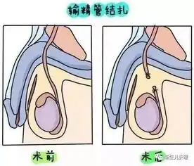 16男生真人头像女用避孕