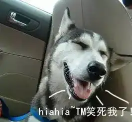 憋笑的表情包哈士奇