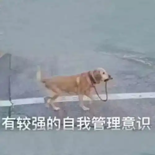 疲惫被生活压垮不存在的