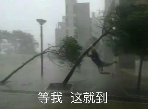 搞笑表情包图片风大雨大也阻挡不了我,等我,马上到