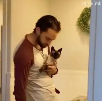 把温柔给了老人和小孩,对铲屎官却不理不睬,猫咪在打什么算盘