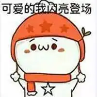 闪亮登场图片表情包表情