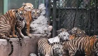 图新闻