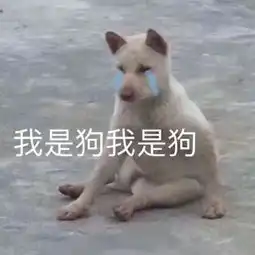 土狗呲牙傻乐表情包