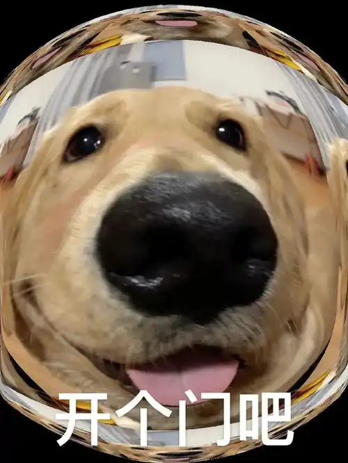 哄对象专用表情包老婆开门呀