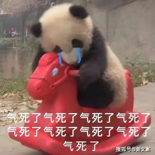 夺笋表情包笋都