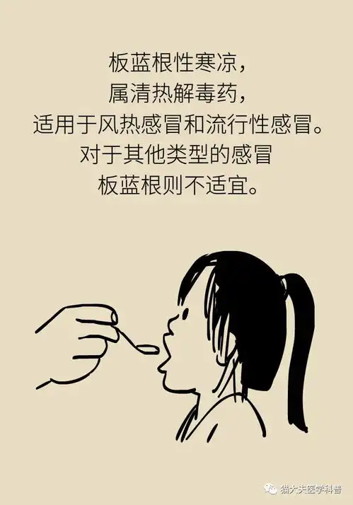 我原本是山中一棵包治百病的板蓝根丨编剧你确定不是想害人