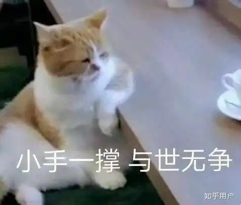 硬货