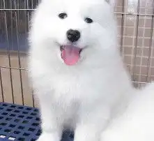 黄页88高清图片