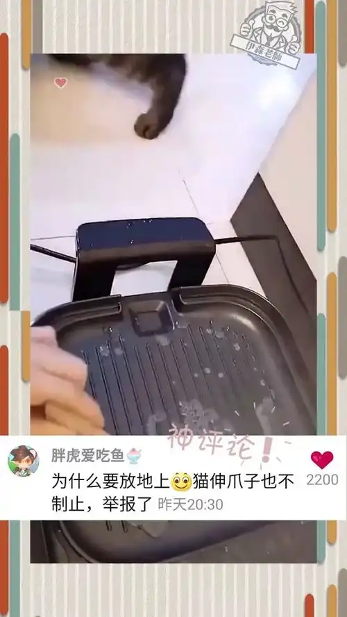 这就是好奇害死猫