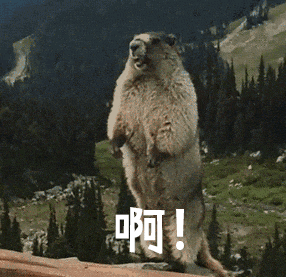 土拨鼠哪吒可以和我贴贴,你们不行