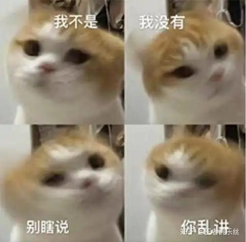 萌到吐血的表情包