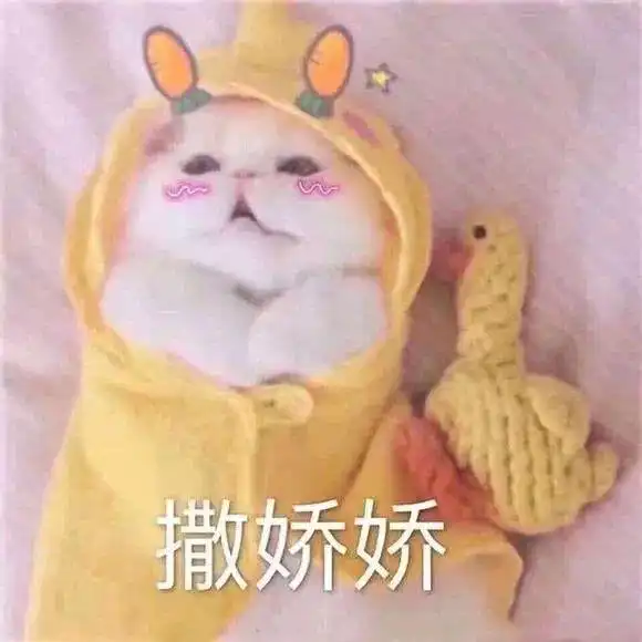 憋笑的表情包我看