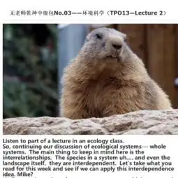 课件无老师乾坤中级包no.04环境科学tpo13lecture2