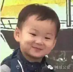 宋民国表情包素材谢飞机