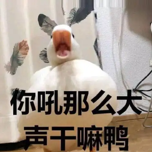拍佛像不吉利吗